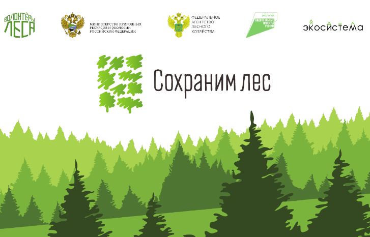 Жителей Саратовской области приглашают на акцию "Сохраним лес" для озеленения региона
