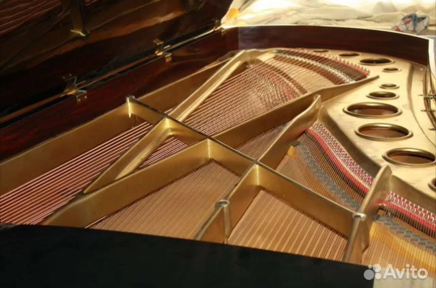 Раритетный рояль из Саратовской филармонии выставили на продажу за 12 миллионов
