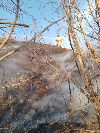 С начала апреля в Саратовской области начался сезон ландшафтных пожаров