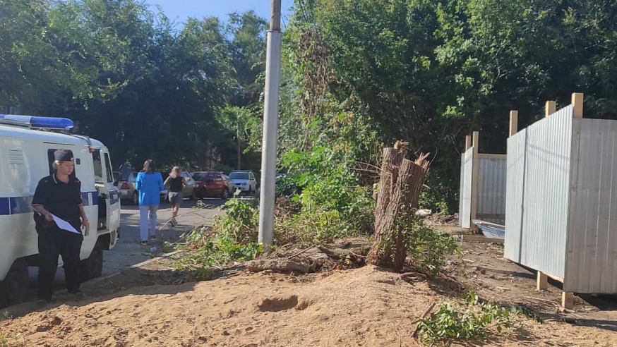 В центре Саратова неизвестные незаконно спилили четыре дерева