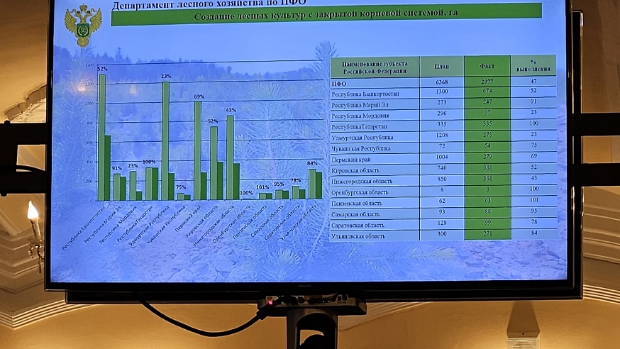 Результаты лесовосстановления в Саратовской области отметили на федеральном уровне