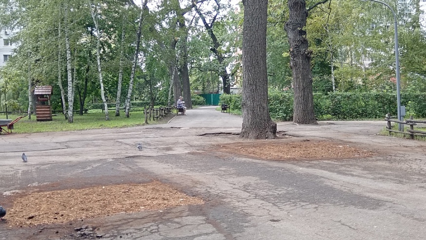 В Городском парке все еще остаются закрытыми одна пешеходная зона и лодочный парк