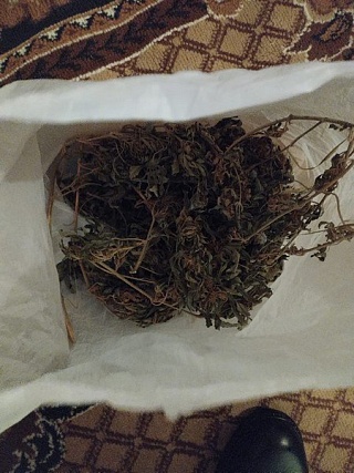 У жителя Балашова полицейские нашли больше килограмма конопли