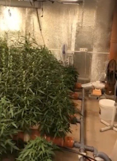 В Саратове председатель превратил гаражи в нарколабораторию