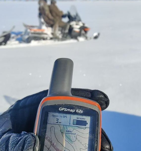 В Саратовской области начали считать диких животных