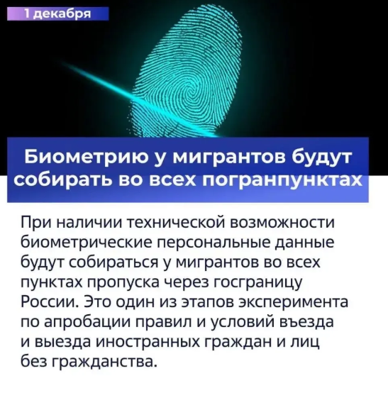 Володин рассказал о законах, которые вступят в силу в декабре
