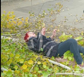 В Саратове на пенсионерку упало дерево