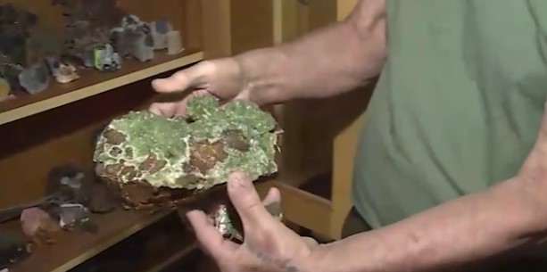 Геолог собрал коллекцию из останков доисторических животных