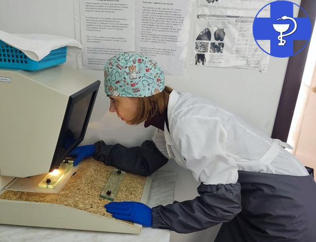 В Саратовской области не пустили в продажу более 30 тонн небезопасной продукции