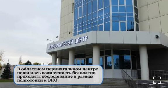 Более тысячи саратовских пар бесплатно подготовились к ЭКО