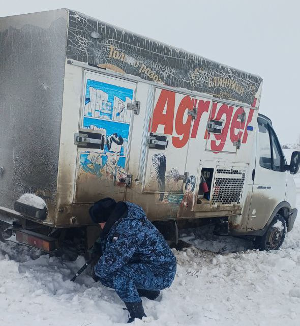 Судебные приставы помогли вытащить из снега грузовик с продуктами под Марксом