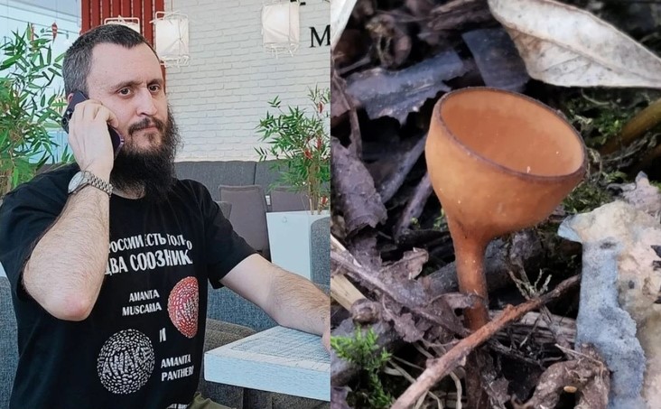 Мужчина нашел редкий гриб, который питается лютиками