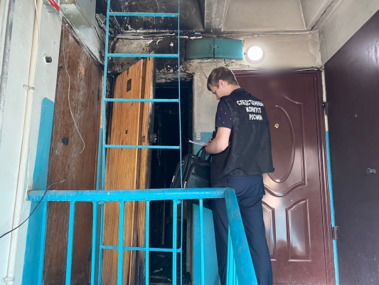 Пожар с двумя погибшими в Балакове: Квартиру поджег один из гостей