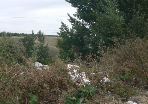За выброшенный на Кумысной поляне мусор саратовцам грозит штраф