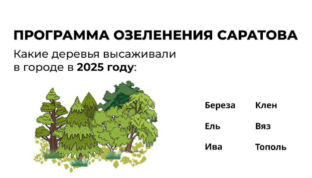 За 2025 год в Саратовской области высадили более 2,6 тысячи деревьев