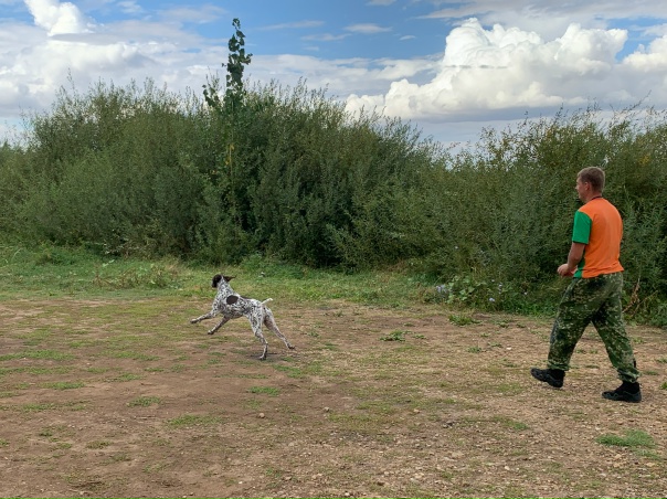 В Саратовской области усиливают контроль за соблюдением правил охоты