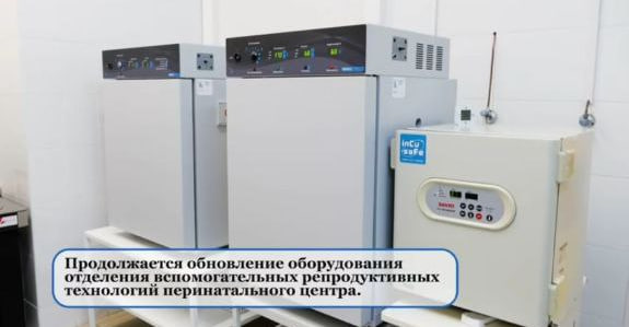 Более тысячи саратовских пар бесплатно подготовились к ЭКО