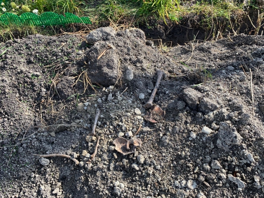 Житель Саратовской области нашел во дворе своего дома останки человека