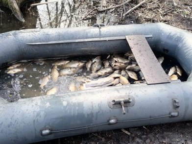 В Балашове задержали браконьеров, поймавших 71 карася и одну щуку