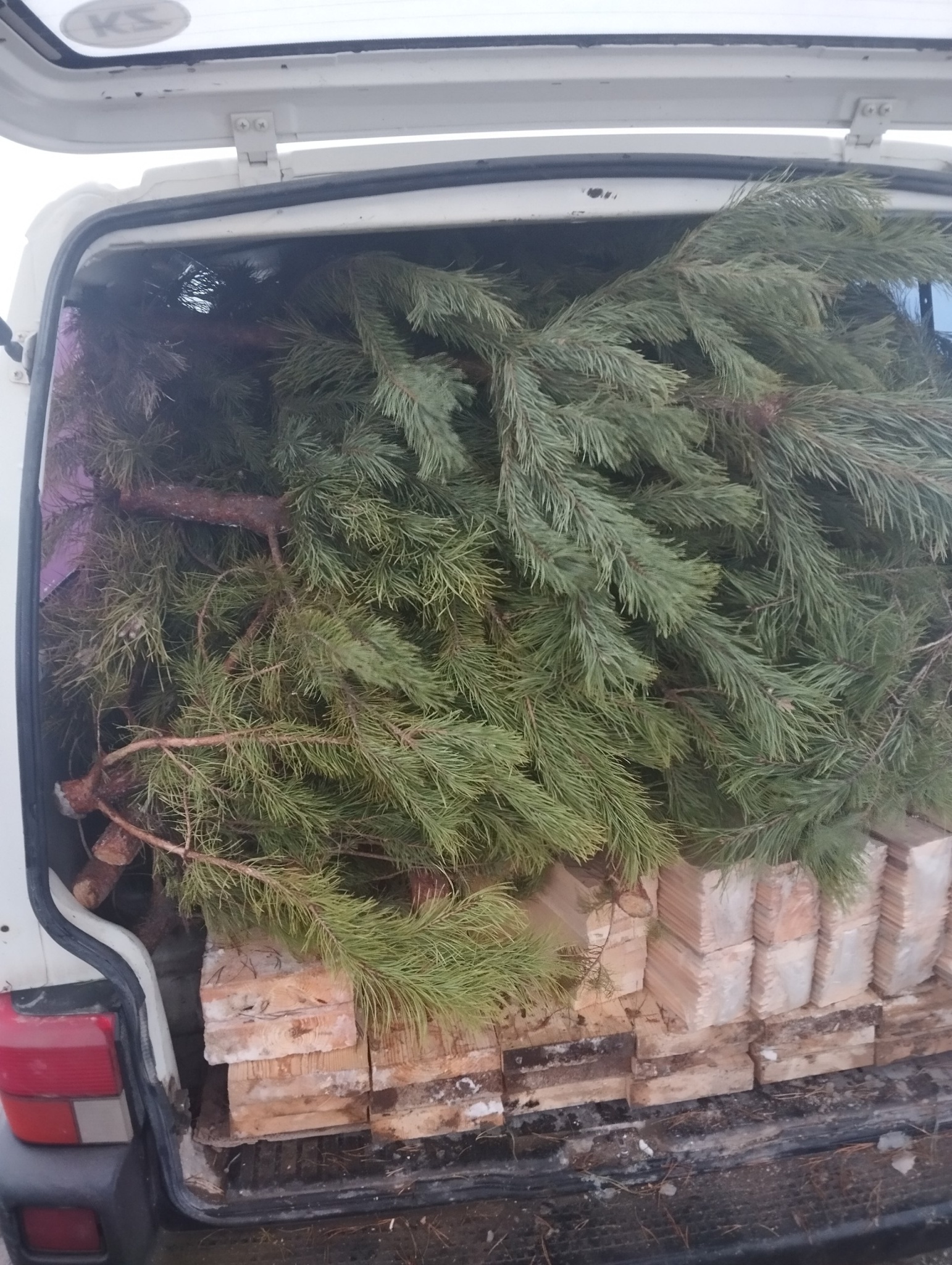 Елочки на пункте пропуска.jpg