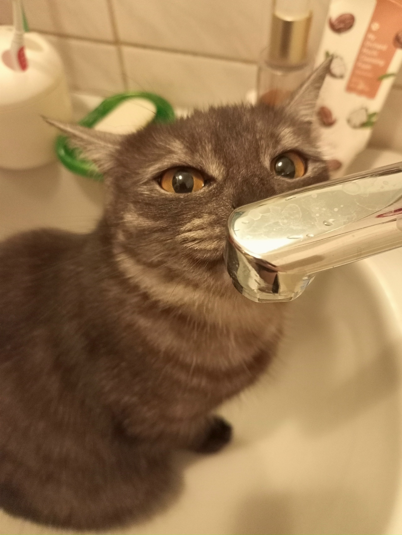 нет воды, фото Ю. Трекозова.jpg