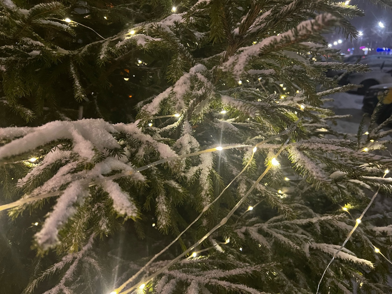 погода, зима, снег, елка, Новый год