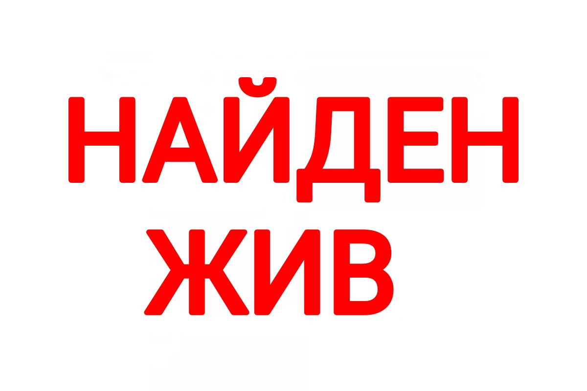 Пропавший в августе 64-летний саратовец найден живым | Саратов 24