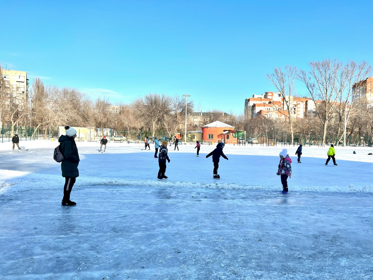 коньки, Далгатова.jpg