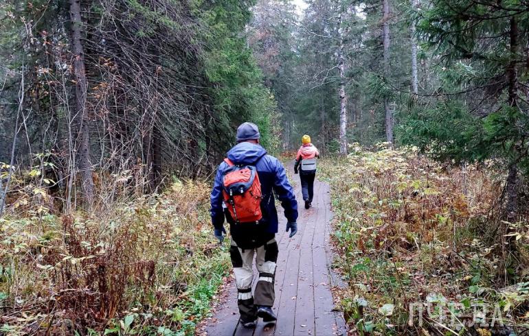 прогулка, Пчеланьюс.jpeg