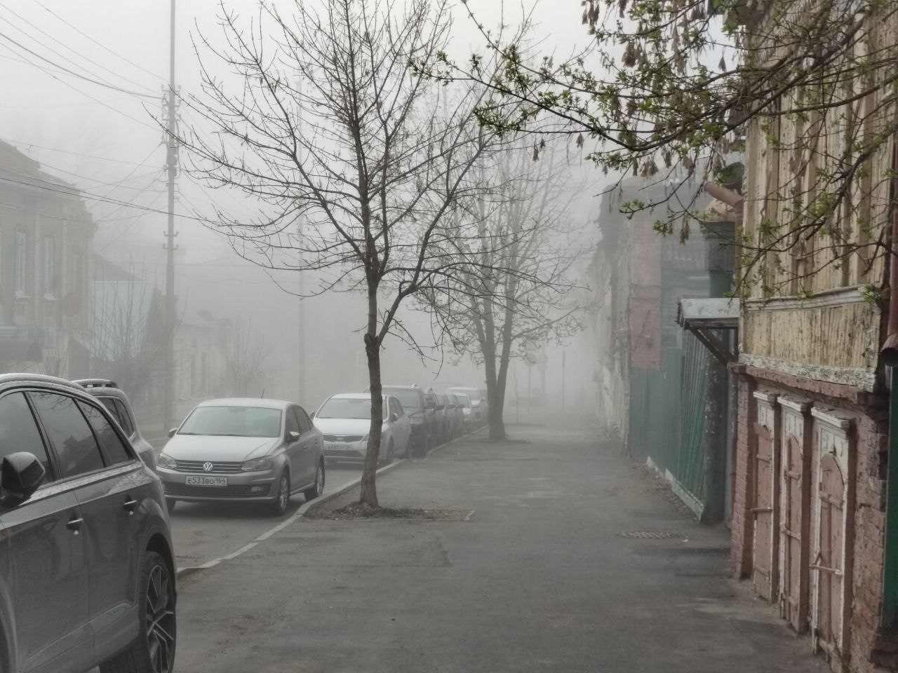 туман, Круглова.jpg