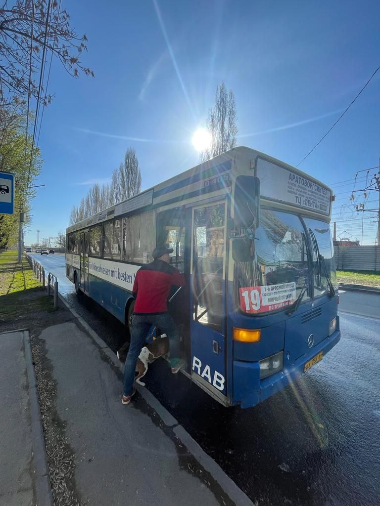 Автобус №19