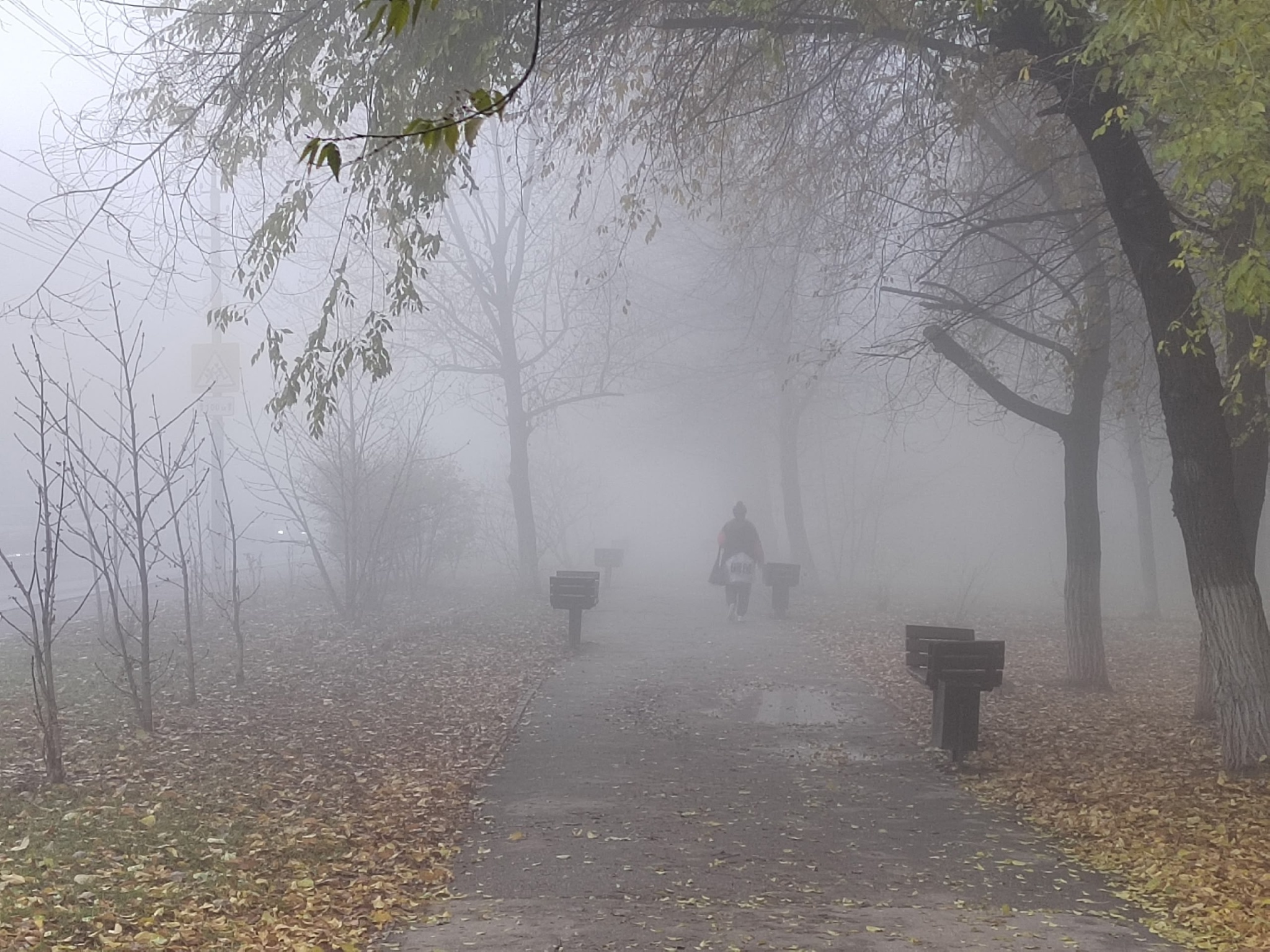 Туман, туманно