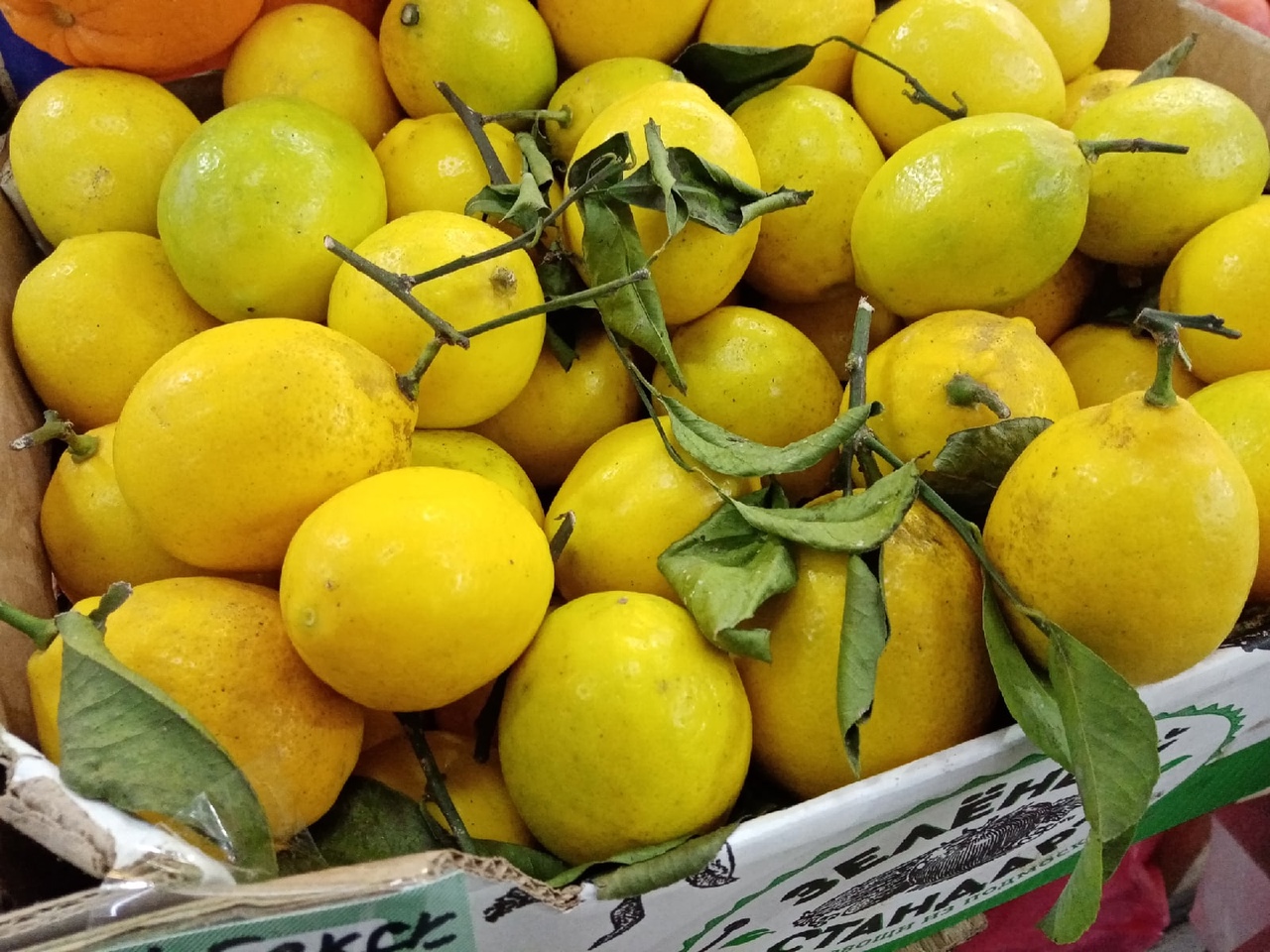 лимоны.jpg