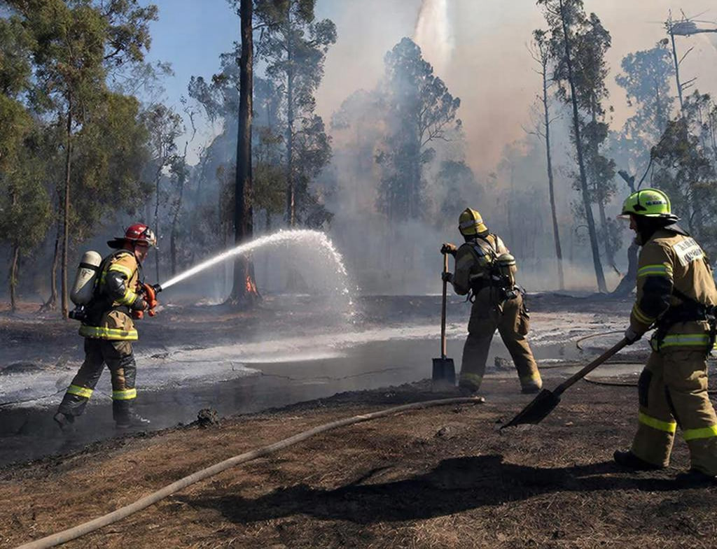 лесной пожар, ии.jpg