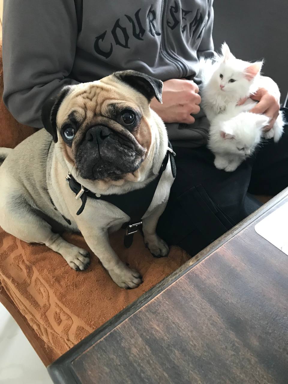 погода, пески, фото подписчика.jpg