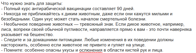 Снимок экрана 2025-10-06 082047.png
