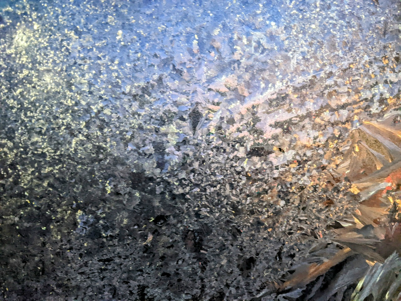 мороз, фото А. Кривега.jpg