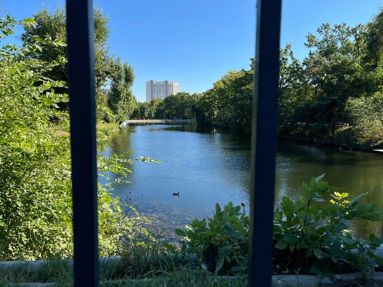 горпарк, пруд.jpg