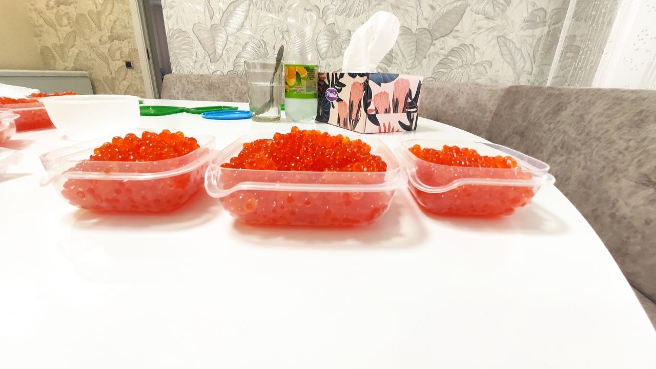 икра.jpg