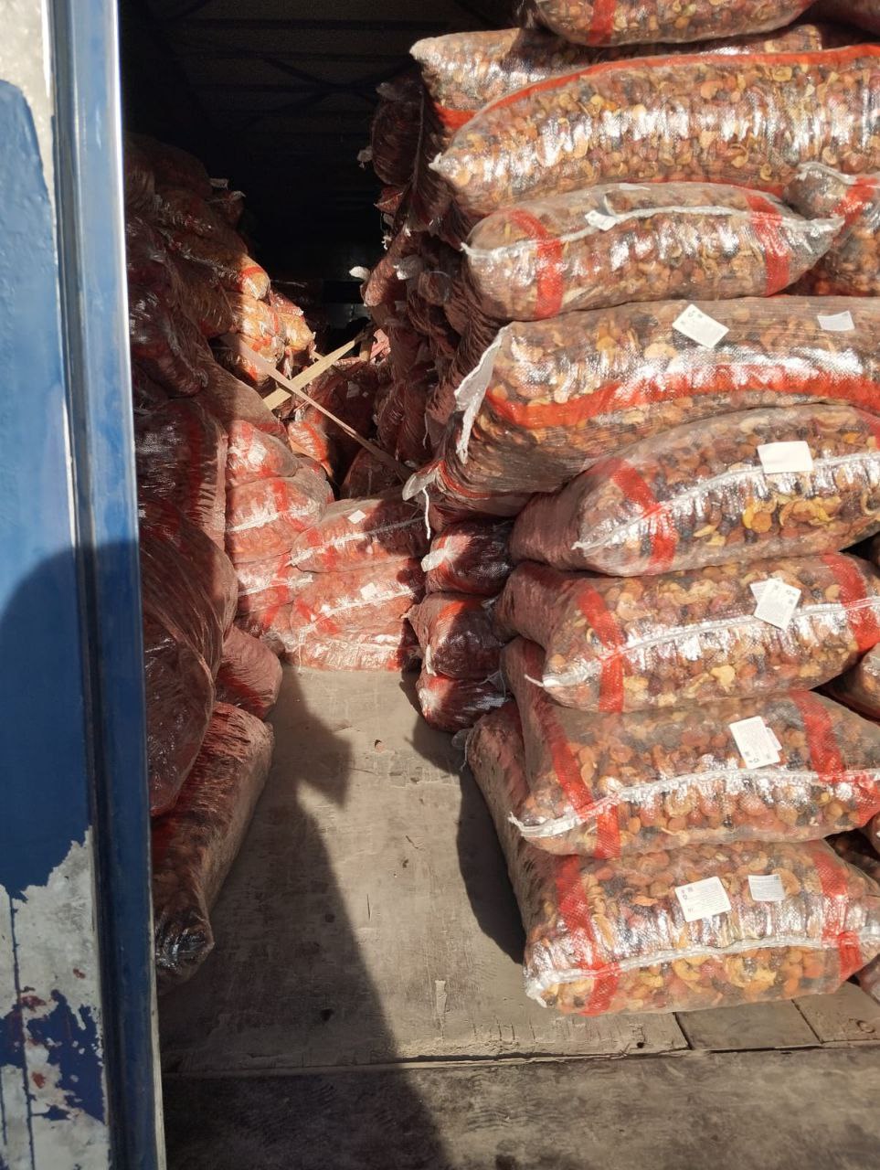 задержанная партия.jpg