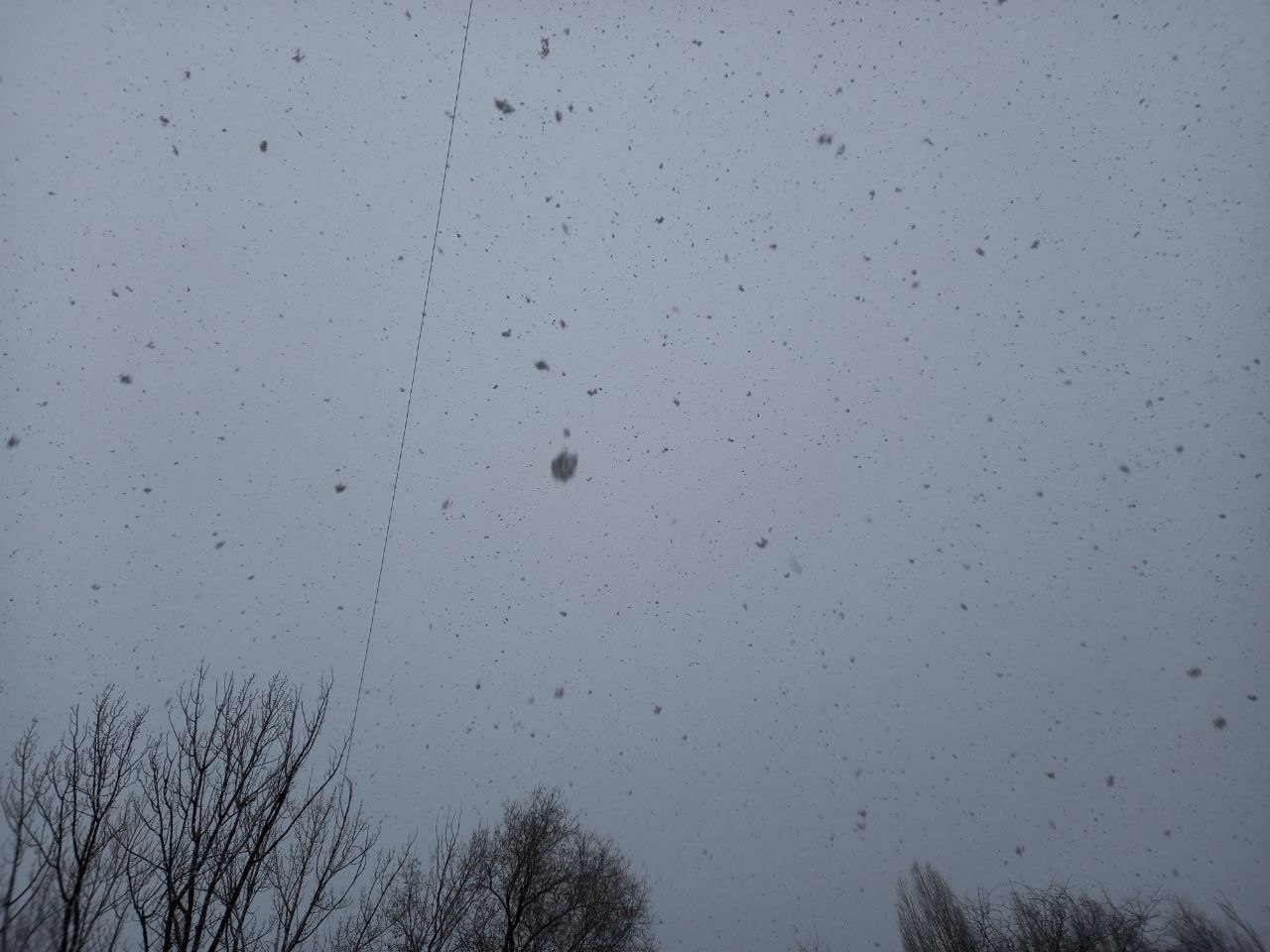 Снег, Саратов.jpg