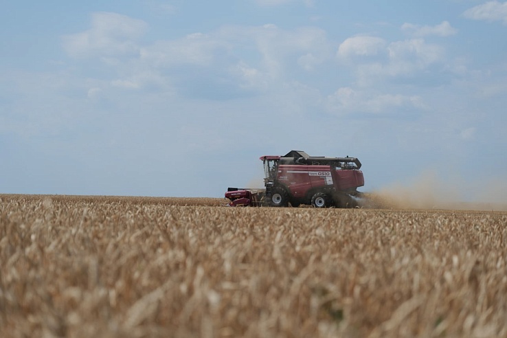 Аграрии Саратовской области собрали 4 миллиона тонн зерна