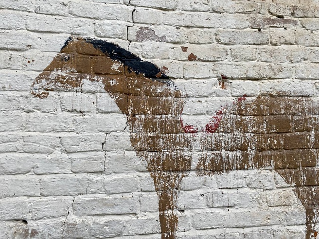 Журналист "Саратов 24" прошла по маршруту в Устиновской усадьбе