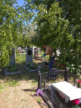 Ночью в Энгельсском районе вандалы разгромили кладбище