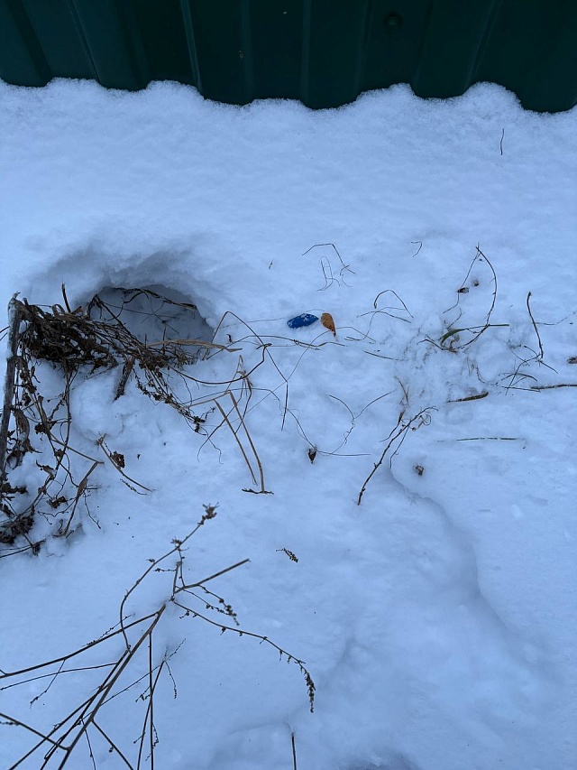 В Энгельсе задержали мужчину с 11 свертками наркотиков