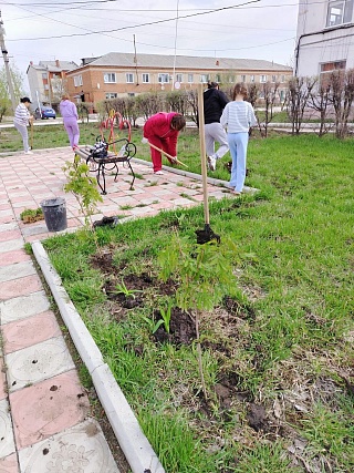В районах Саратовской области продолжаются весенние субботники