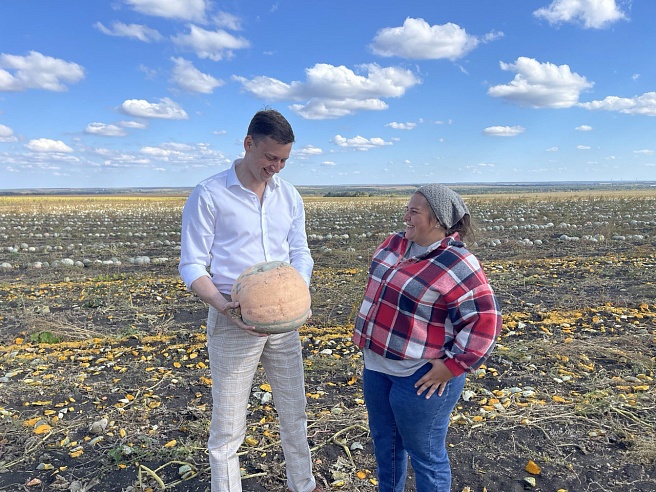 В Петровском районе начали уборку "грызовой" тыквы