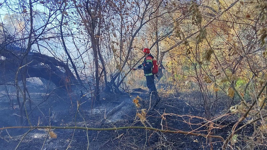 В Саратовской области пожарные ликвидировали 4 возгорания