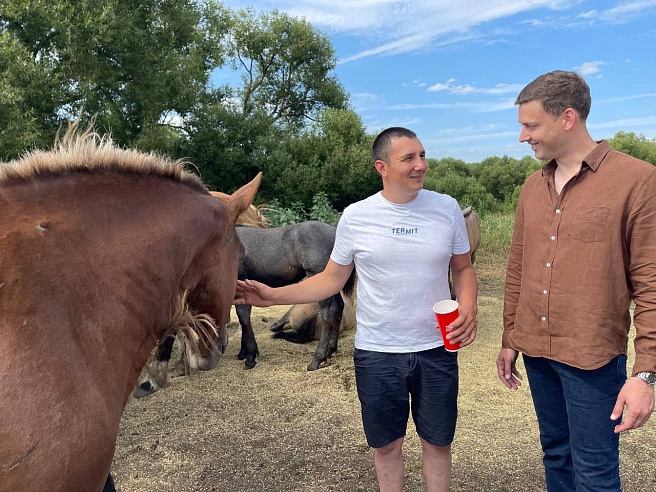 Самый умный конь-тяжеловоз Саратовской области живет под Петровском