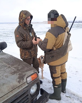 За неделю в Саратовской области выявили 7 случаев нарушения правил охоты